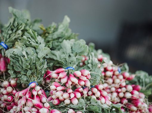 Bio Markt